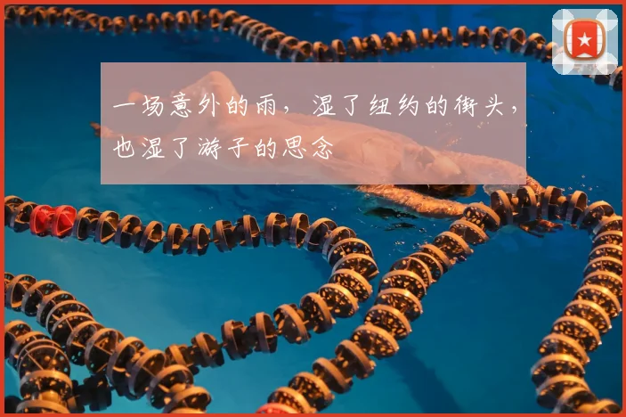 一场意外的雨,湿了纽约的街头,也湿了游子的思念